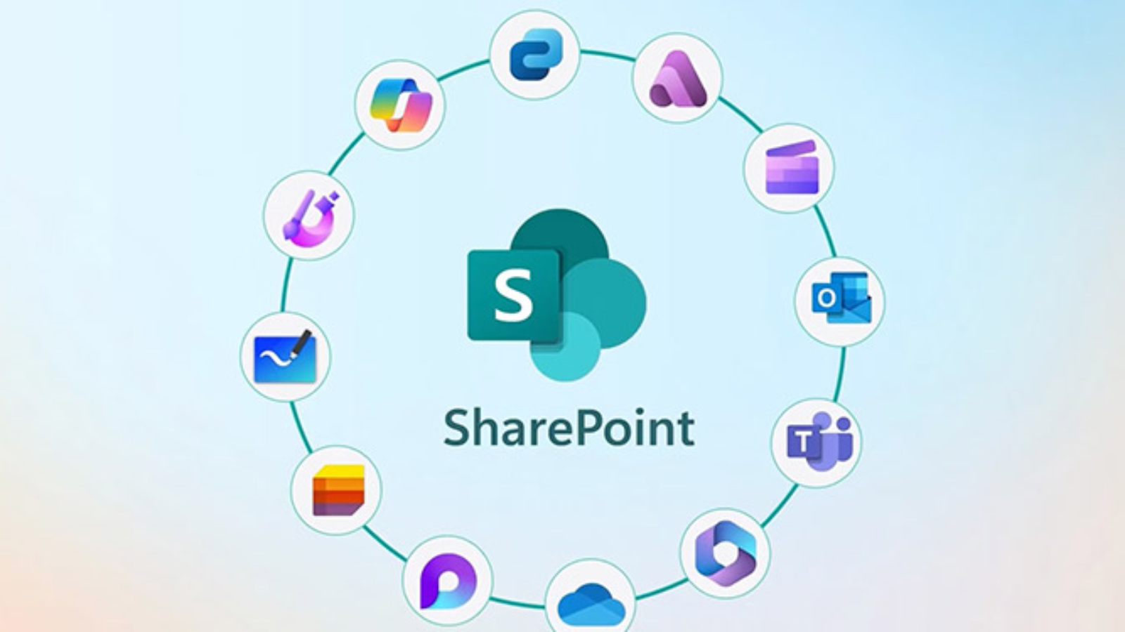 share-point-365